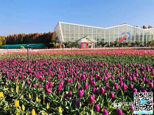 微信图片_20200302174206