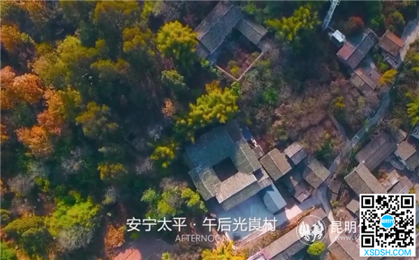 图片3