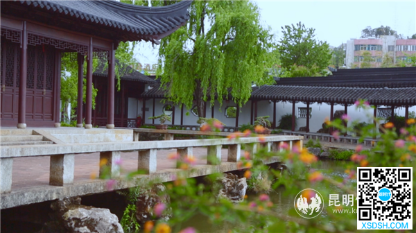 图片9