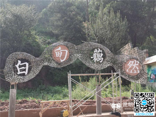 图片6