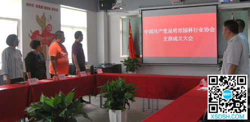 图片 3