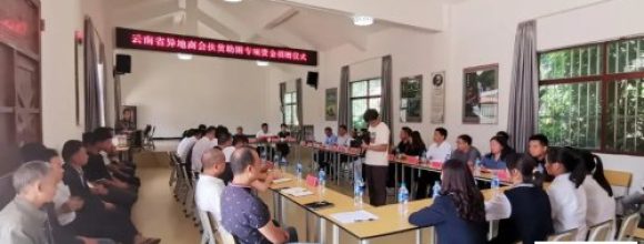 云南省温州商会党委捐资助力龙武镇法乌村打...